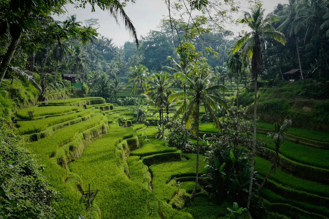 Unforgettable Bali Tours and Experiences